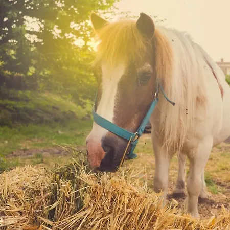 La Rocca Della Rosa * ザッフェラーナ・エトネーア
